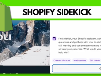 Shopify sidekick